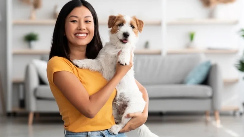 Elevate Your Pet Care Routine with Personalized Can Covers