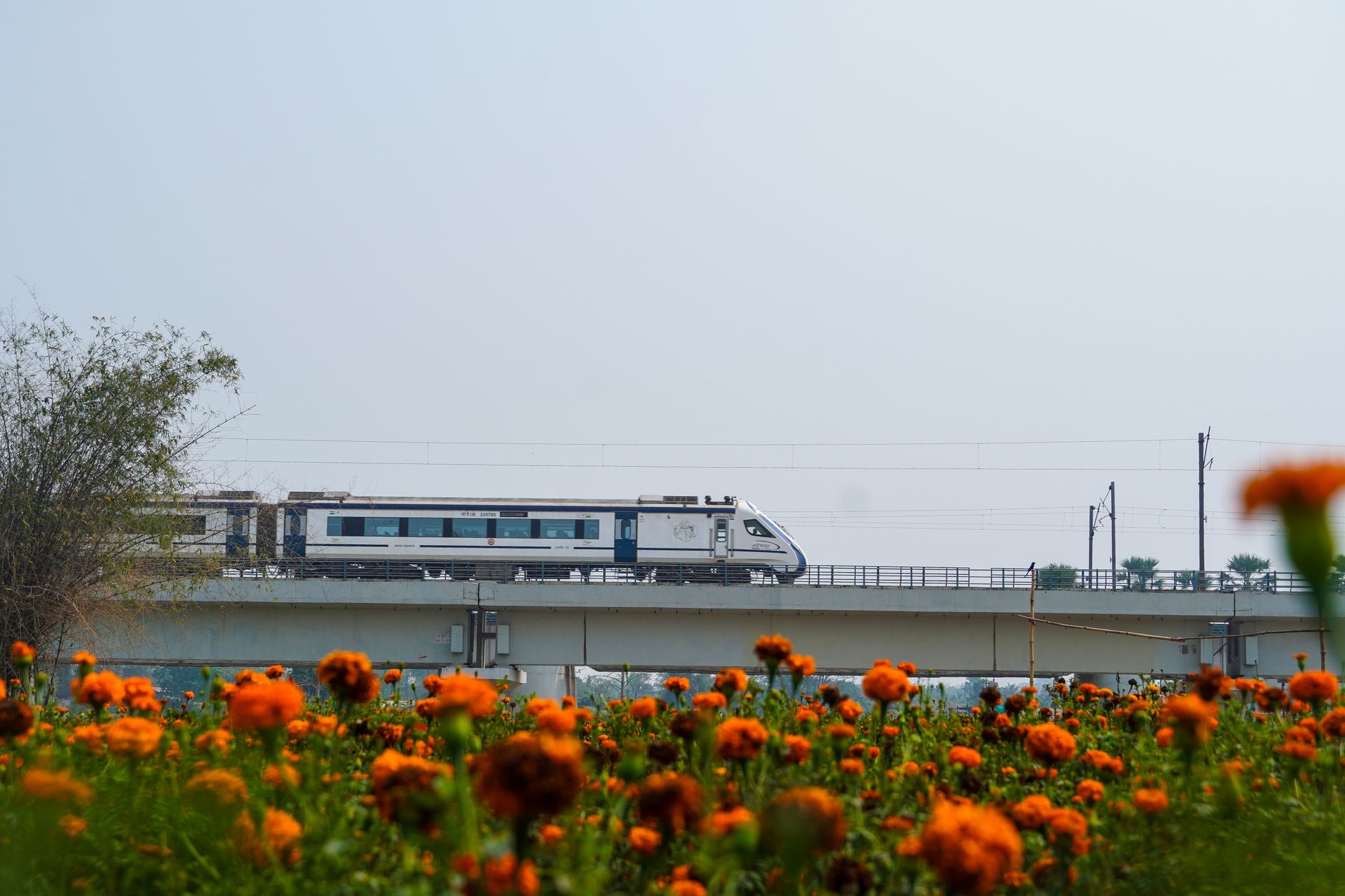 Namo Bharat Rail Corridors